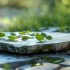 版式设计应用范围广，它究竟是什么？如何进行设计？