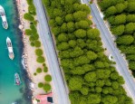 威海奋楫三年推进精致城市建设，蹚出城市治理新路子