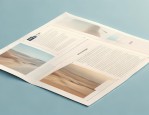 图文混排之小报艺术排版：Word小报排版全解析